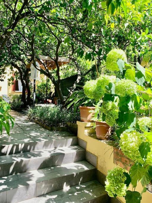Casa Adele Apartment Monterosso al Mare Bagian luar foto